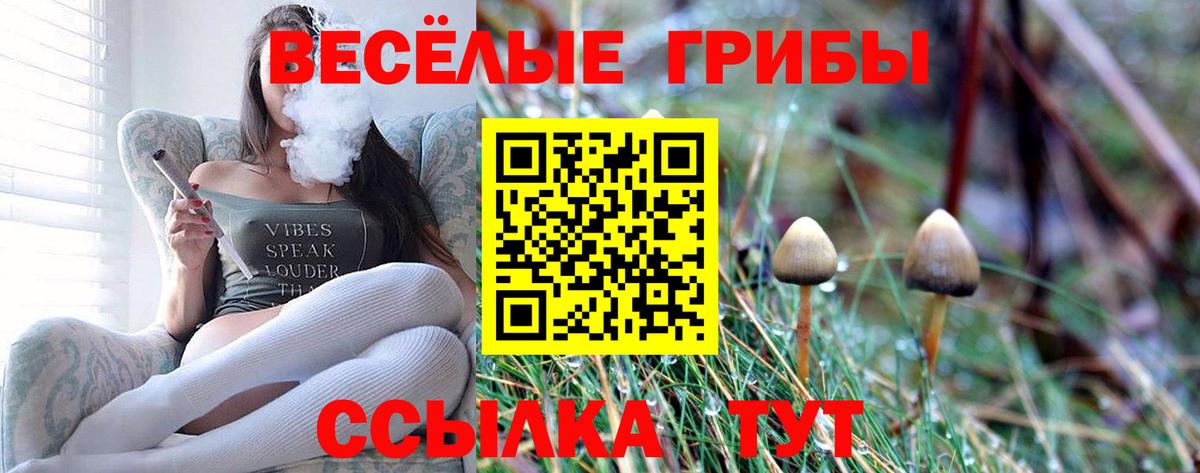Нальчик  Галлюциногенные грибы GOLDEN TEACHER  Вход с VPN 