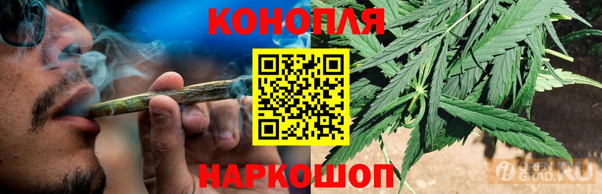 Каннабис планчик  Конопля Ganja  Нальчик  Вход с VPN  Марихуана сатива 
